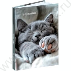 Зап. книжка 160л А6 тв.обл. "Милые котики-9" /глянец/ NEW | Фото 1