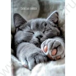 Зап. книжка 160л А6 тв.обл. "Милые котики-9" /глянец/ NEW | Фото 2