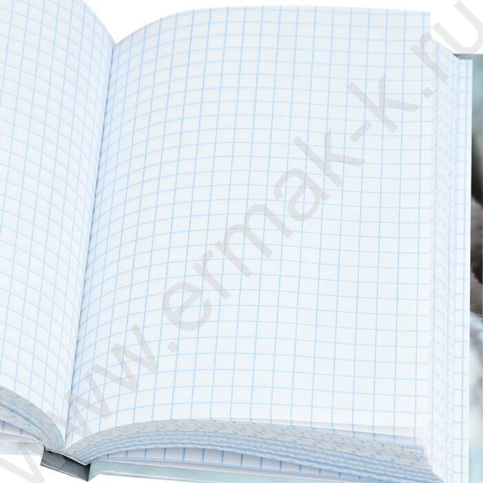 Зап. книжка 160л А6 тв.обл. "Милые котики-9" /глянец/ NEW | Фото 3