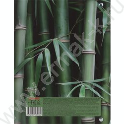 Тетрадь  80л клетка/кольца "Зеленый бамбук" NEW | Фото 5