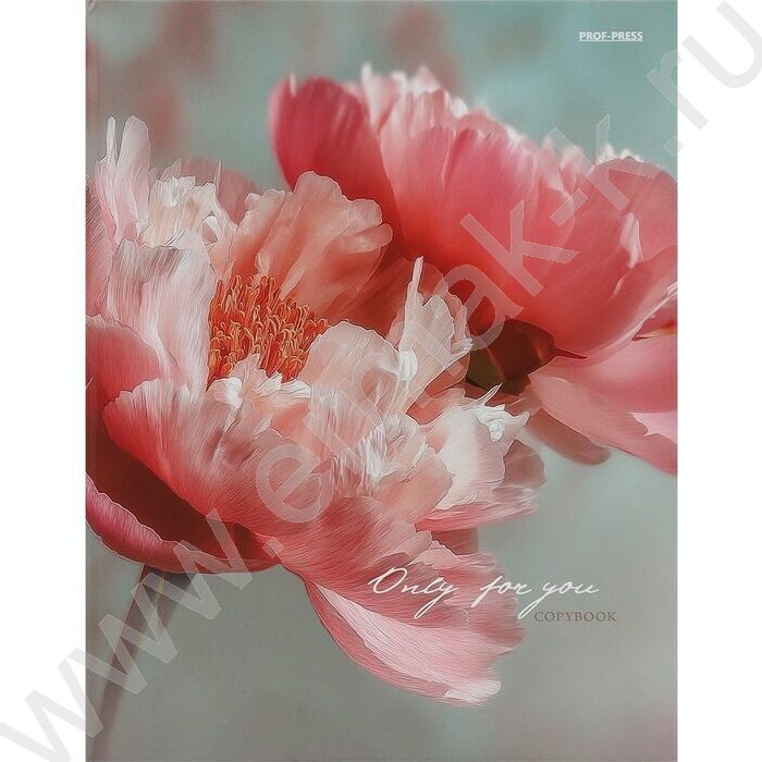 Тетрадь  80л клетка/кольца "Нежные цветы-18" NEW | Фото 2