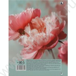 Тетрадь  80л клетка/кольца "Нежные цветы-18" NEW | Фото 5