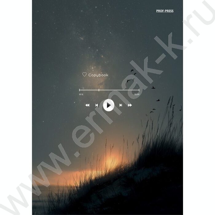 Тетрадь  80л клетка/кольца "Природа и музыка" NEW | Фото 1