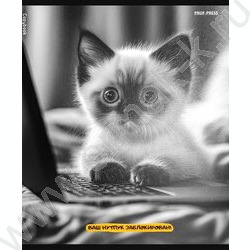 Тетрадь  48л клетка "Забавные коты-5" /твин-лак/ 5видов NEW | Фото 6