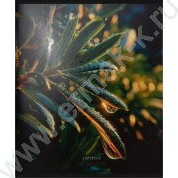 Тетрадь  48л клетка "Красивая природа-5" /твин-лак/ 5видов NEW | Фото 4