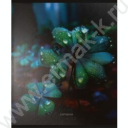 Тетрадь  48л клетка "Красивая природа-5" /твин-лак/ 5видов NEW | Фото 7