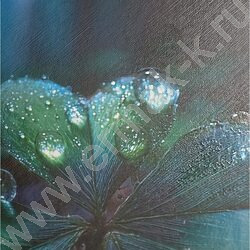 Тетрадь  48л клетка "Красивая природа-5" /твин-лак/ 5видов NEW | Фото 8