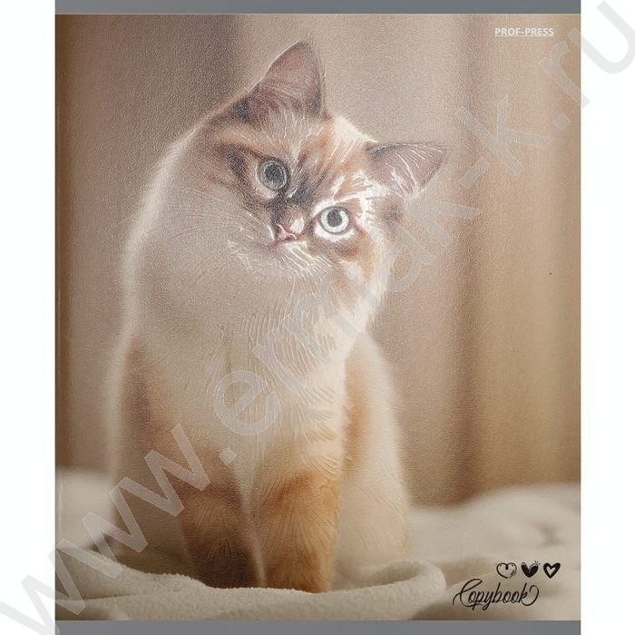 Тетрадь  48л клетка "Милые коты-6" /твин-лак/ 5видов NEW | Фото 5