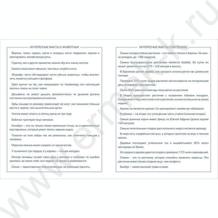 Дневник 1-11кл. /тв.обл./ламинац.SOFT-TOUCH "Милый альпака" NEW | Фото 4