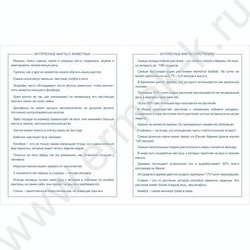 Дневник 1-11кл. /тв.обл./ламинац.SOFT-TOUCH "Exclusive motorsports" NEW | Фото 4