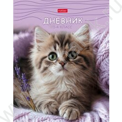 Дневник 1-4кл. /тв.обл./глянц.лам. "МяУсы" NEW | Фото 1