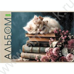 Альбом д/рисования 16л "Маленькие мурлыки" ассорти NEW | Фото 2