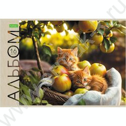 Альбом д/рисования 16л "Маленькие мурлыки" ассорти NEW | Фото 3