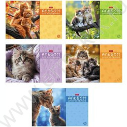 Альбом д/рисования 16л "МяУсы" ассорти NEW | Фото 1