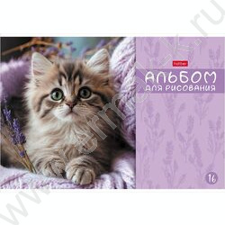 Альбом д/рисования 16л "МяУсы" ассорти NEW | Фото 4