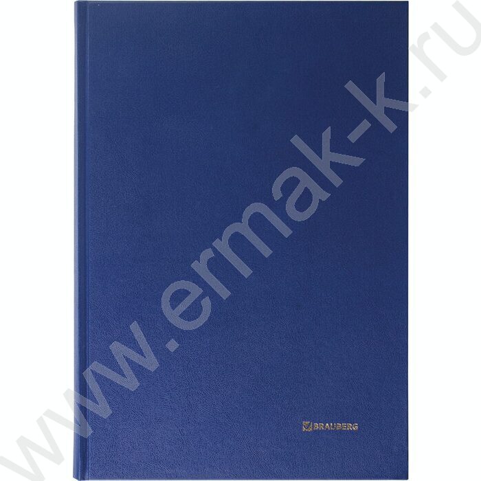 Книга Учёта 144л линия б/вин, блок офсет | Фото 2