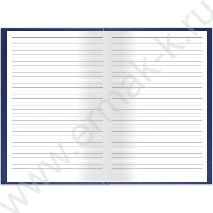 Книга Учёта 144л линия б/вин, блок офсет | Фото 3