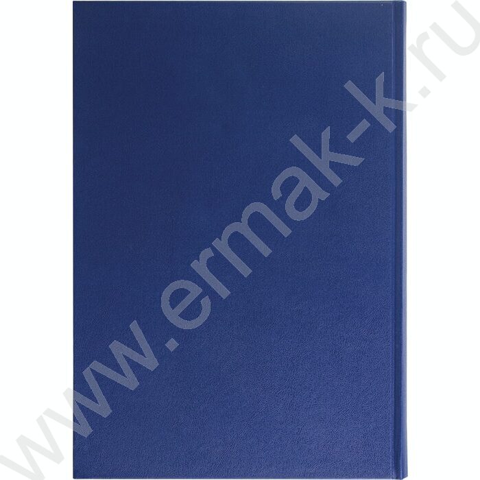 Книга Учёта 144л линия б/вин, блок офсет | Фото 5