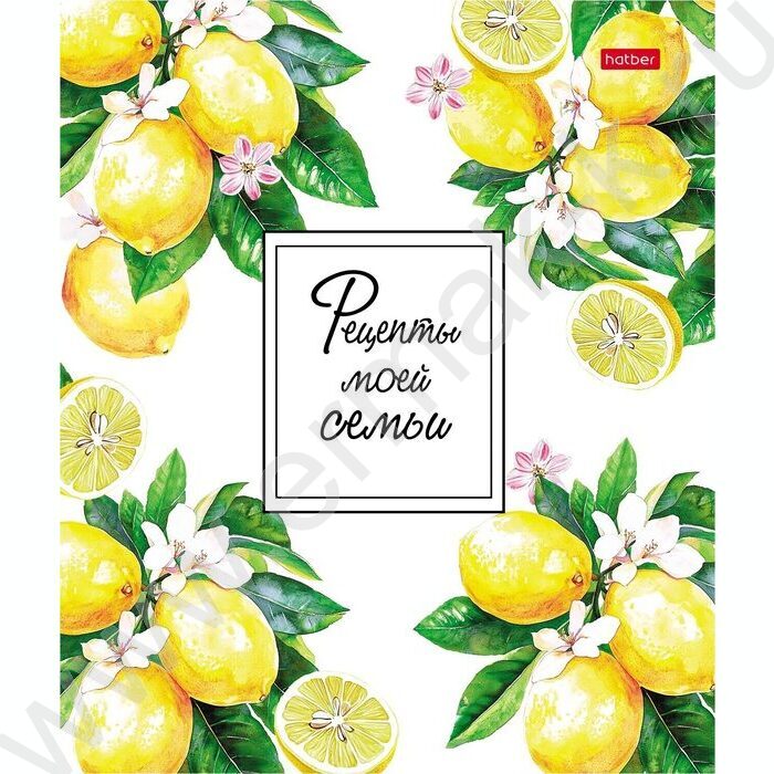 Книга д/записи кулинарных рецептов  80л А4 4 цв.разделит.на спирали "Рецепты моей семьи" с накле NEW | Фото 1