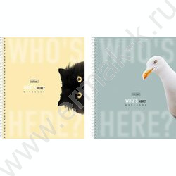 Тетрадь  96л клетка/спираль "Кто здесь?" /мат.лам/ ассорти NEW | Фото 1