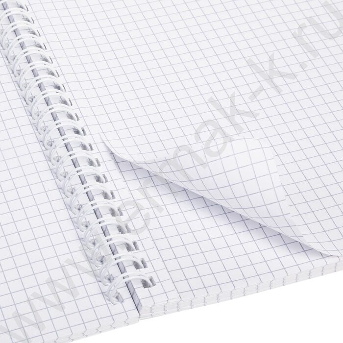 Тетрадь  96л клетка/спираль/перфорация на отрыв "Лаконично" /с карманом NEW | Фото 3