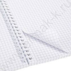 Тетрадь  96л клетка/спираль/перфорация на отрыв "Golden fruits_garnet" /с карманом NEW | Фото 3