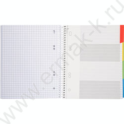 Тетрадь 120л клетка/спираль /4 цв. разделителя, перфорация на отрыв/тв.обл.Soft-touch "Сила в де NEW | Фото 2