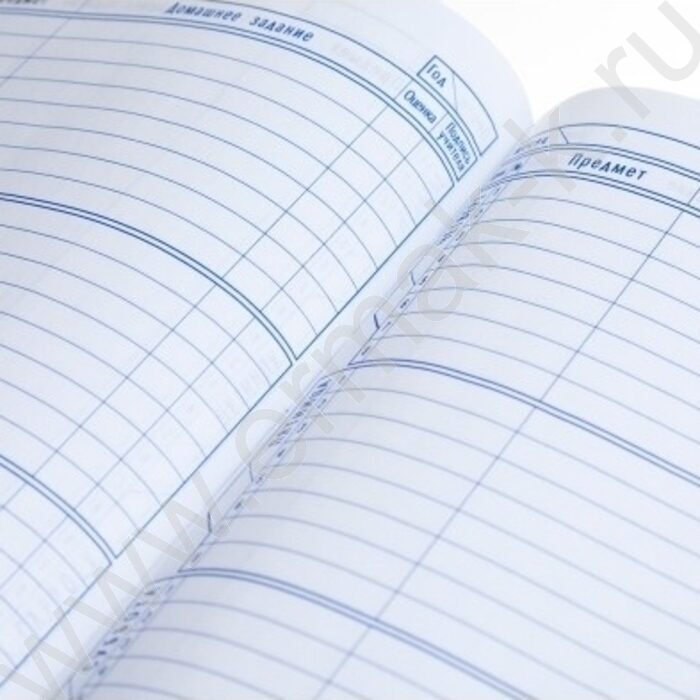 Дневник 1-11кл. /тв.обл./глян.лам. "Играй в футбол" NEW | Фото 2