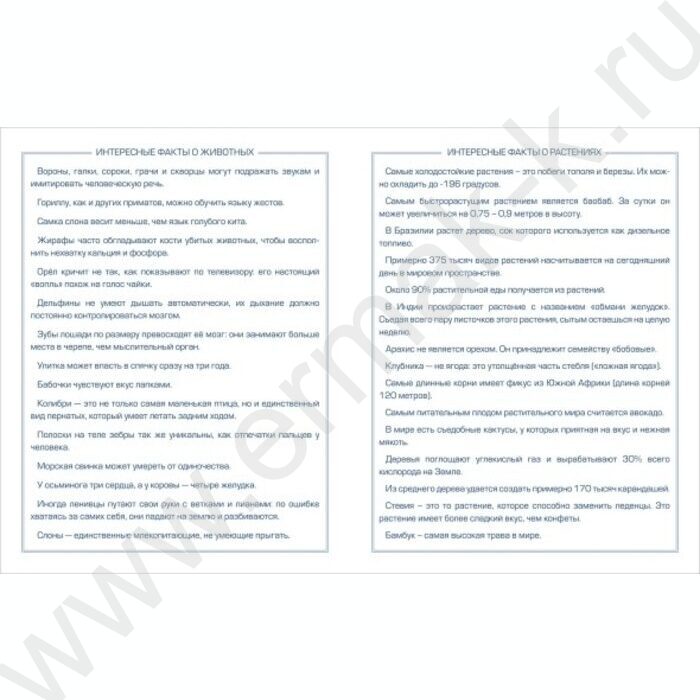 Дневник 1-11кл. /тв.обл./глян.лам. "Играй в футбол" NEW | Фото 4