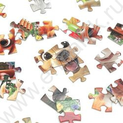 Пазлы   54 Весёлые собачки NEW | Фото 5