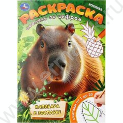 Раскраска А4 Соедини по цифрам.Капибара в зоопарке NEW | Фото 1