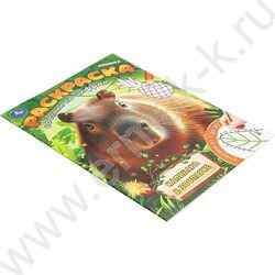 Раскраска А4 Соедини по цифрам.Капибара в зоопарке NEW | Фото 2