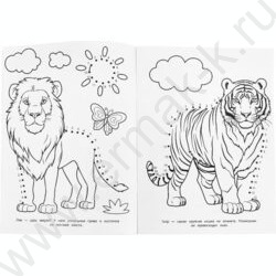 Раскраска А4 Соедини по цифрам.Капибара в зоопарке NEW | Фото 4