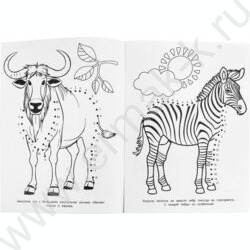 Раскраска А4 Соедини по цифрам.Капибара в зоопарке NEW | Фото 5