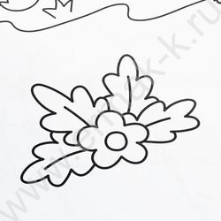 Раскраска А4 Бомбическая раскраска.Удивительная встреча NEW | Фото 6