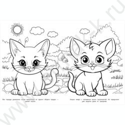 Раскраска А4 Котики NEW | Фото 2