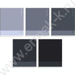 Тетрадь  48л клетка "Оттенки серого" /выб.ТВИН-лак/ ассорти NEW | Фото 1