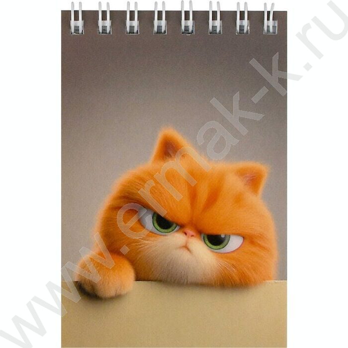 Блокнот  40л А7 спираль "Кот рыжик" /УФ-лак сплошной/ NEW | Фото 1