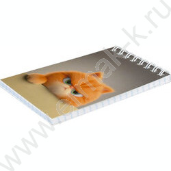 Блокнот  40л А7 спираль "Кот рыжик" /УФ-лак сплошной/ NEW | Фото 2