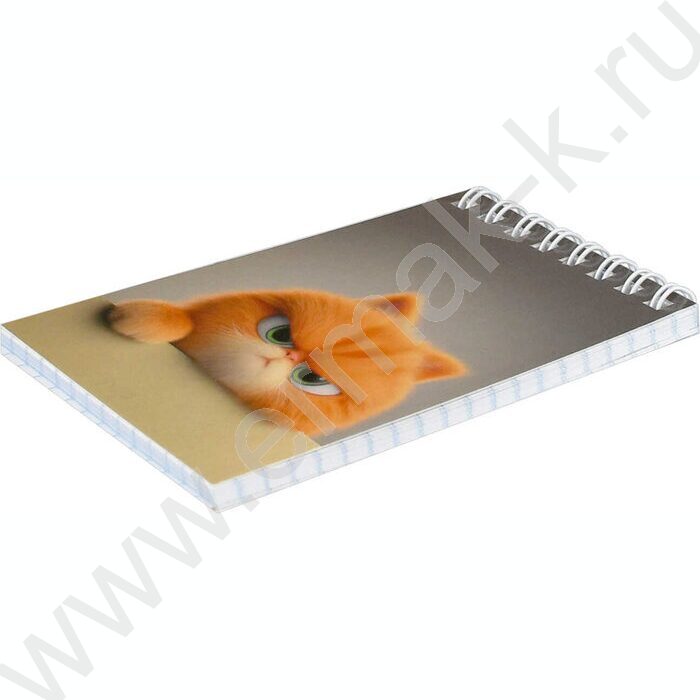 Блокнот  40л А7 спираль "Кот рыжик" /УФ-лак сплошной/ NEW | Фото 2