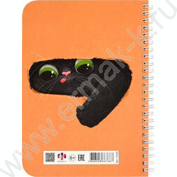 Личный дневник д/девочек А5 40л "Кот из коробки" спираль NEW | Фото 9