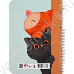 Личный дневник д/девочек А5 40л "Любопытные коты" спираль NEW | Фото 9
