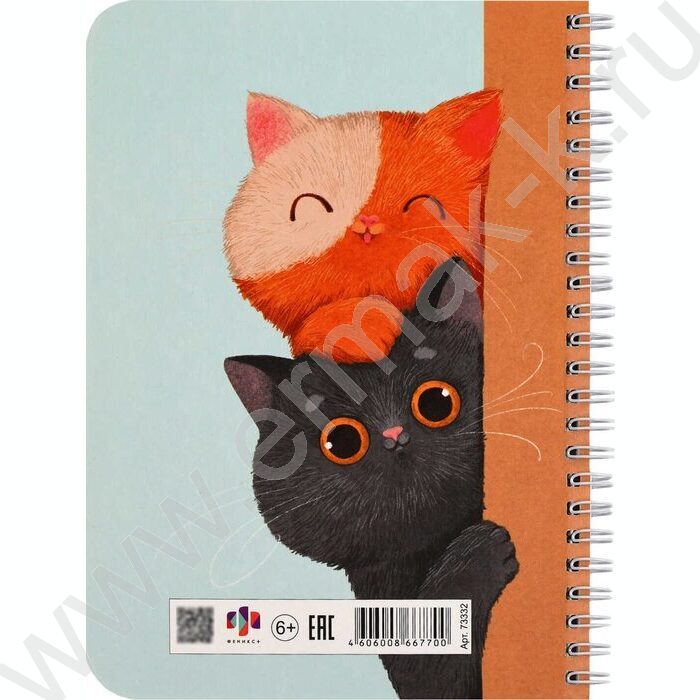 Личный дневник д/девочек А5 40л "Любопытные коты" спираль NEW | Фото 9