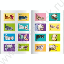 Раскраска 165*235 Породы.Коты с наклейками NEW | Фото 3