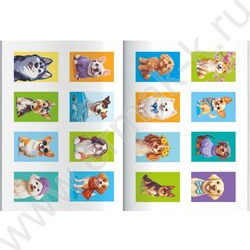 Раскраска 165*235 Породы.Собаки с наклейками NEW | Фото 3