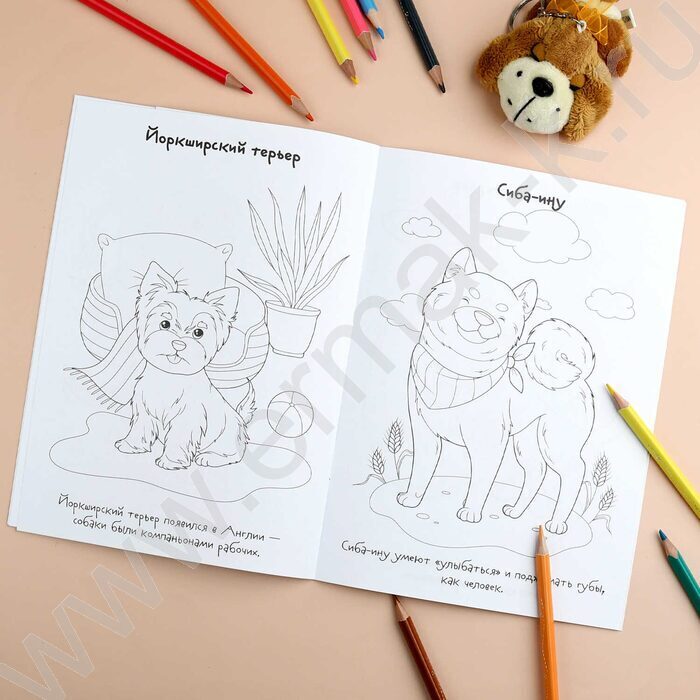 Раскраска 165*235 Породы.Собаки с наклейками | Фото 7