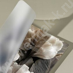 Тетрадь  80л клетка/спираль/пластик.обл. "Лепестки" NEW | Фото 8