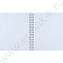 Тетрадь  80л клетка/спираль/пластик.обл. "Прибрежные волны" NEW | Фото 5