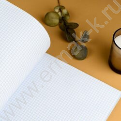 Тетрадь  80л А4 клетка/перевертыш "Прерии" NEW | Фото 9