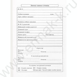 Дневник 1-11кл. "Забавный котик-4" NEW | Фото 2